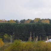 b629aa2917a38dedd0e4833804a455fa