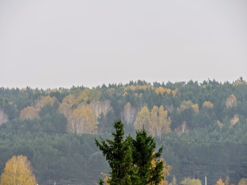 c9035f14ef53102aa5da68c80bf7731c.jpg