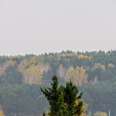 c9035f14ef53102aa5da68c80bf7731c