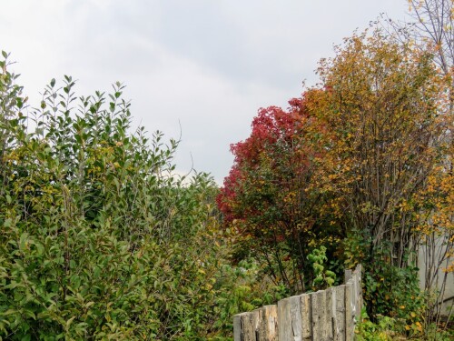 d2ac3e364cb21c0c5204b30acc2eb767.jpg