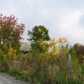 e06766c6157bd5f8e67fc3070476b562