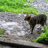 0396e8db6e455c946de67686cdb1127c