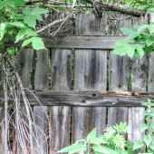 0f70abb4cfc79717bd0e23be42d6f08f