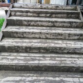 11cd02feaab0948dc4ac32d8ed7f397a