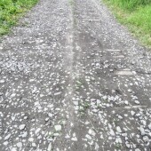 12a55eb4d1c636566e8fd9cad5e5154c