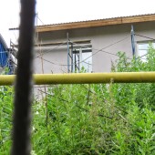 1d244af8ee09b7193788a194e07a7527