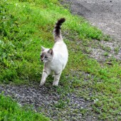 2bc8c79b4b8dca2085bf9a99b82d981e