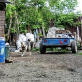 442ad4ab8fb5020a65e0d016610883d1