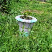 5280696bfe049af0ce71d9da43cfc93e