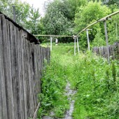 53017fd203f5210b88bd1e55134604c1