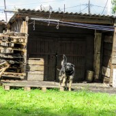 5934eed0c6adb7c4ea6000b0644715b8