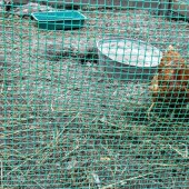 5e24bcc3bd6499d98d3a426aa4dbc582