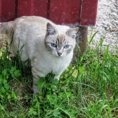 6346f03401138b3a4fcf3865d7acf661