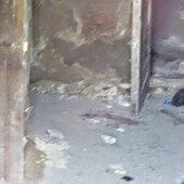 736b819e2e8b2748b7488ac92438ff3c