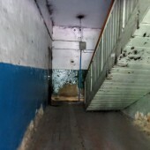 7bd0a5a7ae801c9929be2bca1f8c5535