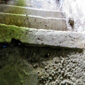 848bb8370af3b19e9979d734933e6c87