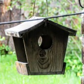 b80fd37d3acb34f78a58c08c5ccfd244