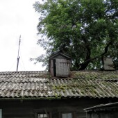 be5d6e3bc6fec75cae2ada0e93d2a7bc