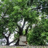 dd64dd36a9dcc4b7738ab6d941747df6