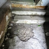 fa8413aed9e10110c0f16b2641c64122