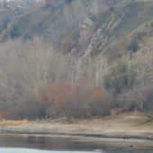 009b5dd320707528a2eeeb4231a409a7