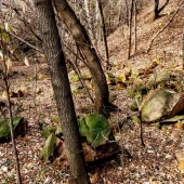 0a4c27daeaad998af3d1645019dcfe64