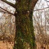 1087cbf2b1af269b1216d53ddedb8f9b