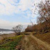 1735aafe80d6579e549fd8f5691e4715