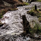 189a3e07a20ec724278640017c3c7d6a