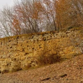 1b8f5f9fee098a384448d719ac56a9b1