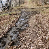 1e4aa20b3dba31bb54d41117f1de6907