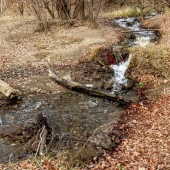 24ddd3d9a1a87e8cb8bbe4c8bc516606