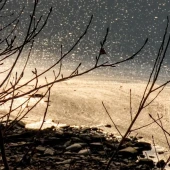 253b7587760e401bc2749c3257df49ec