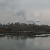 25aafa4f74cf0bf8fff3b861e8c22064