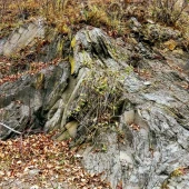 28e757ae8995de746eff911dc6dba65e