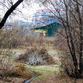 2ceaa65bedb01fd999ae263ec620a51b