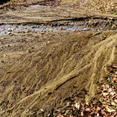 325126a81d513e33b3cc9af598169825