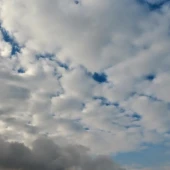 330b039f82abd0a487a745600b464155