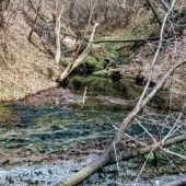 3aae4ab0855bad9cca1e7840d41072af