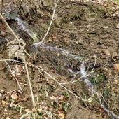 3d93f9c97c8d41aefd407a81f02c5653