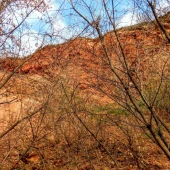 419b2b36a678ad84e125255f1e4d41d1