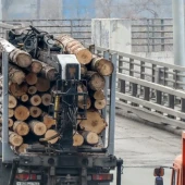 43f46d9a3bf8f169edd6c947f1211baa