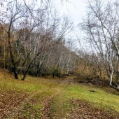 485a3432555b3ac6c1a876c4d512e3ee