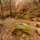 4e66934efcf41caddb53b6784b3bfa0f