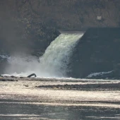 549db04031726d15b60cbadaf0570c9e