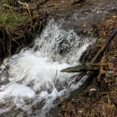 62607ec4fa919b682fc45c20cc251d71