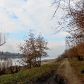 6589c15df78f43df395d1e532181634b