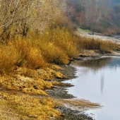 71751be1537fe55da9d1020c2c379e62