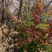 76e6bc53b8952b87cd3b810b5813676f