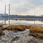 780673a0401466ed36106291a4496319